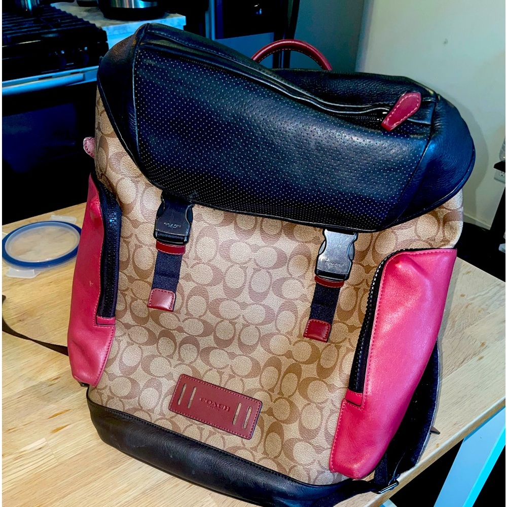 Coach Bag multi colored